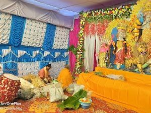 Photo 3 of 5, DURGA PUJA - TRINAYANI CULTURAL COMMITTEE SARJAPUR